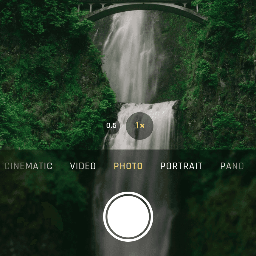 Bring Your Memories to Life